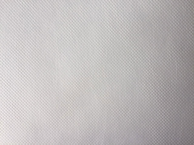 滌綸無紡布12