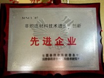 非織造材料技術(shù)進(jìn)步、創(chuàng)新－先進(jìn)企業(yè)