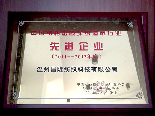 中國(guó)紡粘熔噴非織造布行業(yè)-先進(jìn)企業(yè)