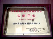 中國(guó)紡粘熔噴非織造布行業(yè)－先進(jìn)企業(yè)