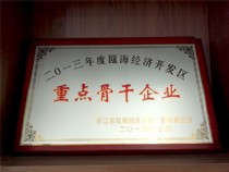 重點(diǎn)骨干企業(yè)